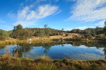 Outdoor Pictures 21