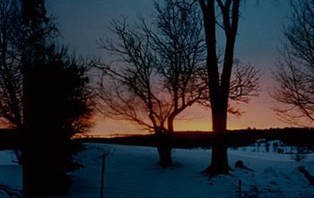 Outdoor Pictures 15