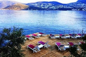 Outdoor Pictures 22