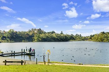 Outdoor Pictures 22