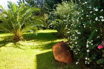 Outdoor Pictures 17