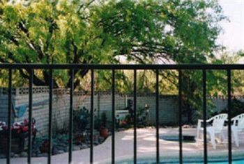 Outdoor Pictures 12