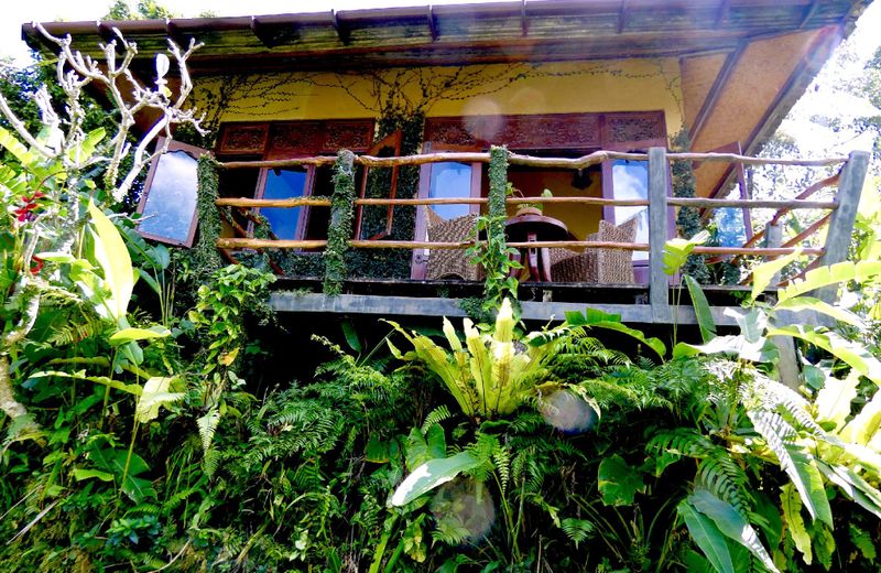 Sarinbuana Eco Lodge