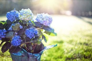 Outdoor Pictures 20