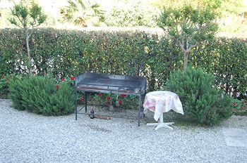 Outdoor Pictures 20