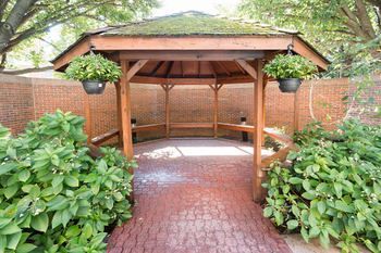 Outdoor Pictures 24