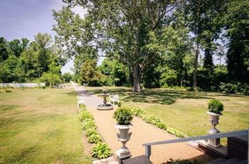 Outdoor Pictures 20