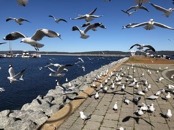 Outdoor Pictures 22