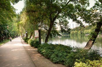 Outdoor Pictures 23