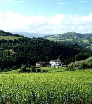 Outdoor Pictures 10