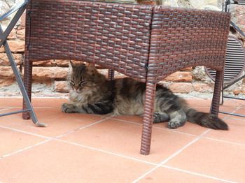Outdoor Pictures 17