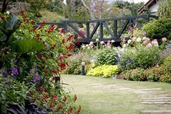 Outdoor Pictures 21