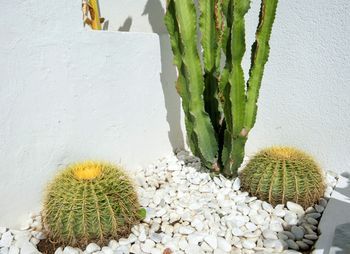 Outdoor Pictures 21