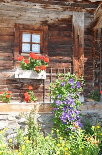 Outdoor Pictures 16