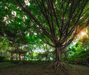 Outdoor Pictures 21