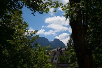 Outdoor Pictures 19