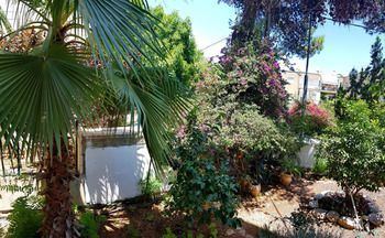 Outdoor Pictures 23