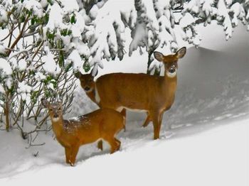 Outdoor Pictures 15
