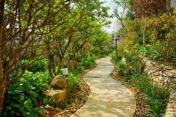 Outdoor Pictures 21