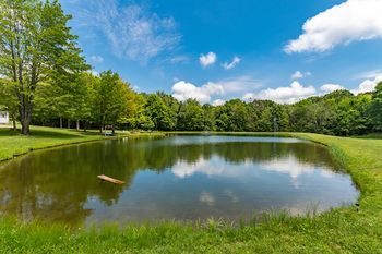 Outdoor Pictures 11