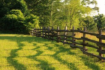 Outdoor Pictures 15