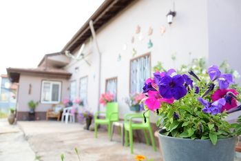 Outdoor Pictures 24