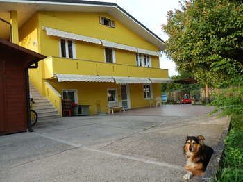 Outdoor Pictures 1