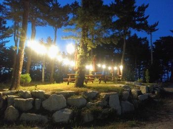 Outdoor Pictures 20