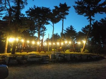 Outdoor Pictures 21