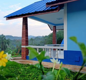 Outdoor Pictures 7