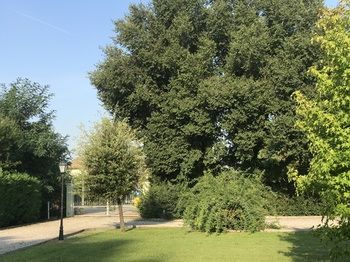 Outdoor Pictures 22