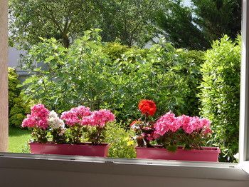 Outdoor Pictures 22