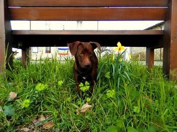 Outdoor Pictures 10