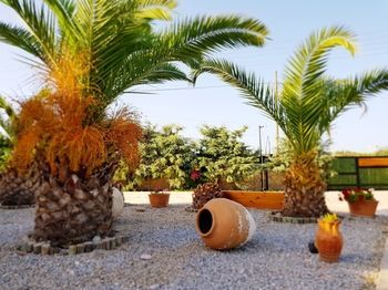 Outdoor Pictures 15