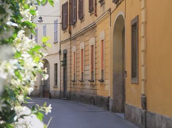 Outdoor Pictures 24