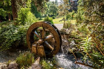 Outdoor Pictures 23