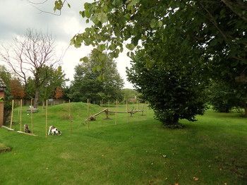 Outdoor Pictures 20