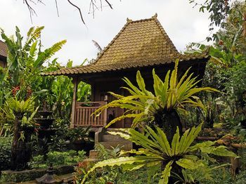 Bali Mountain Retreat