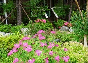 Outdoor Pictures 13