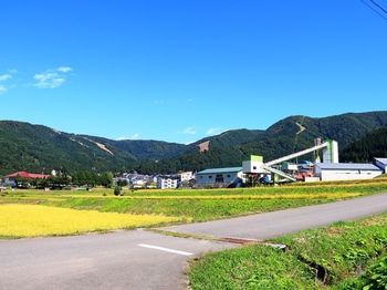 Outdoor Pictures 23