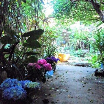 Outdoor Pictures 14