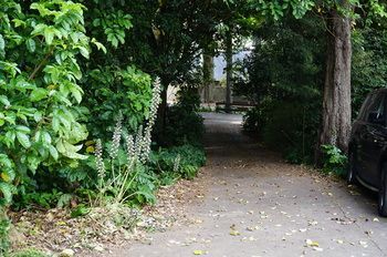 Outdoor Pictures 22