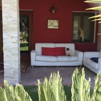 Outdoor Pictures 7