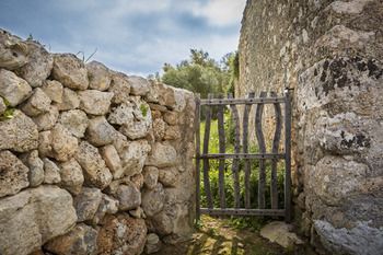 Outdoor Pictures 24