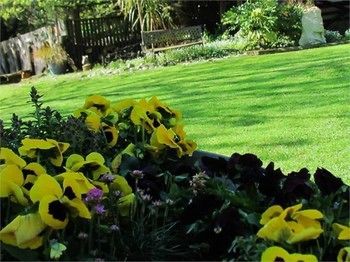 Outdoor Pictures 12
