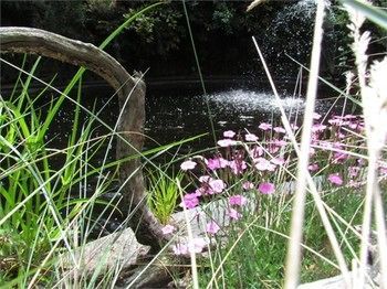 Outdoor Pictures 13