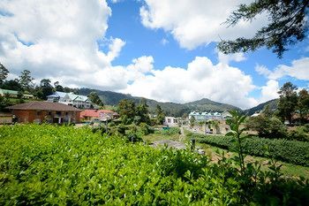 Outdoor Pictures 22