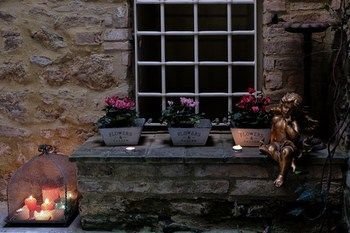 Outdoor Pictures 24