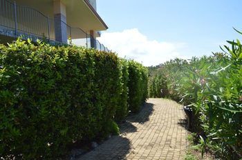 Outdoor Pictures 22