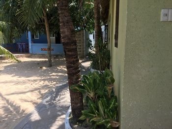 Outdoor Pictures 7